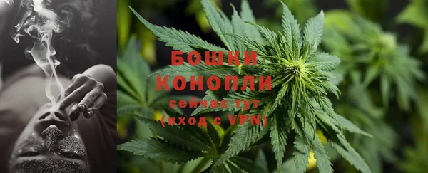 гидропоника Богданович