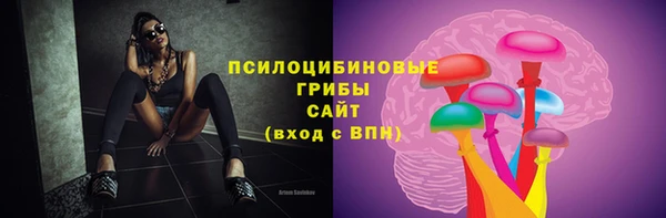 гидропоника Богданович