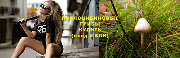 марки lsd Богородицк