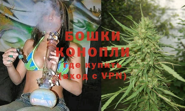 гидропоника Богданович