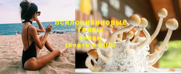гидропоника Богданович