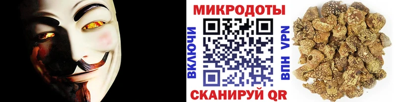 закладка  Сланцы  Псилоцибиновые грибы Cubensis 