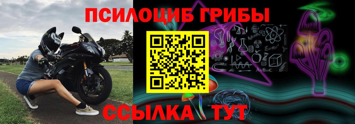 Галлюциногенные грибы GOLDEN TEACHER  Вход с VPN  Сланцы 